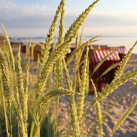 Rosenhaus - Luxorioeses Mit Viel Platz Fuer Ganze Familie Von 